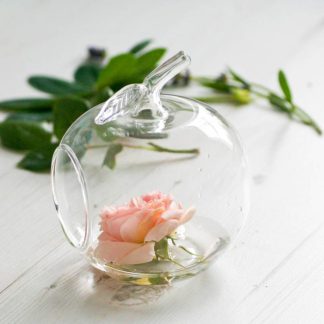 Hanging glass apple shaped vase