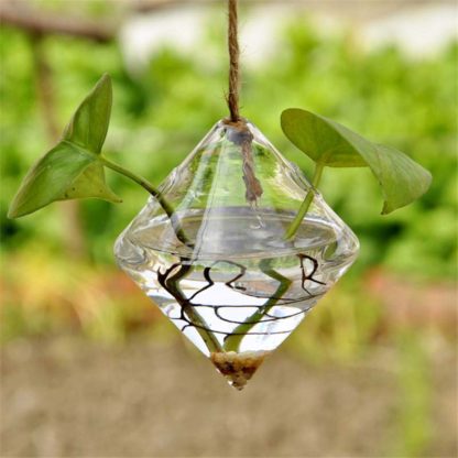 Glass hanging vase for small plants