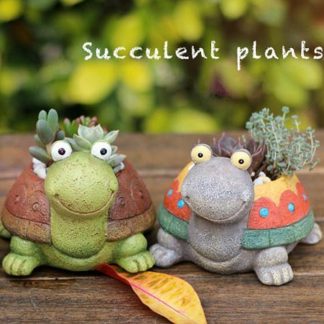 Cute turtle succulent pots
