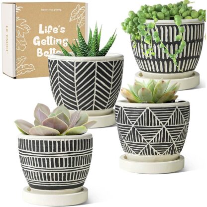 four succulent pots with geometric design